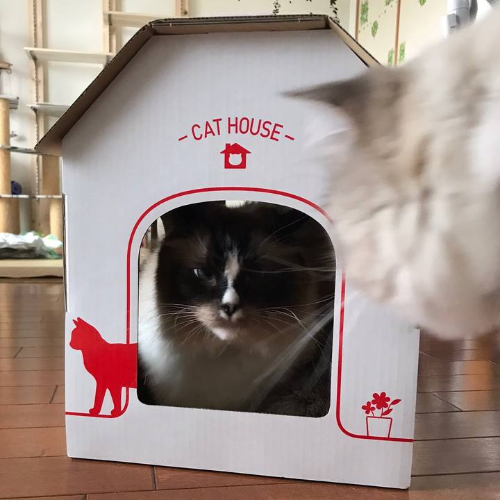 E4dcbe25 3614 4d01 a8a2 729e74bdc47c 1546870195802