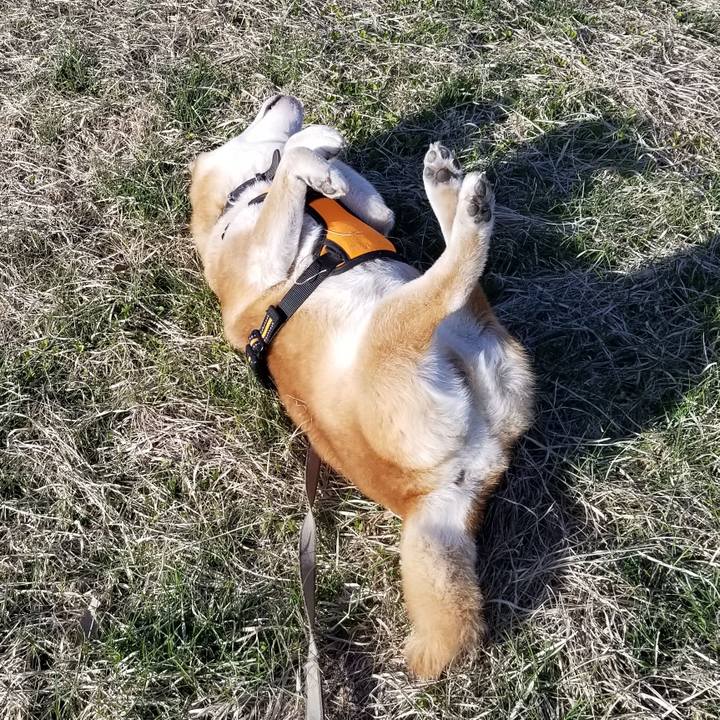 E4dce164 c4ca 42ca b13a ff2e2b57cf7d 1618124745344