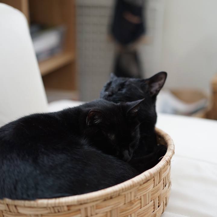 E4dcec52 5dcb 4ae3 9123 4d4188564bff 1558166519401