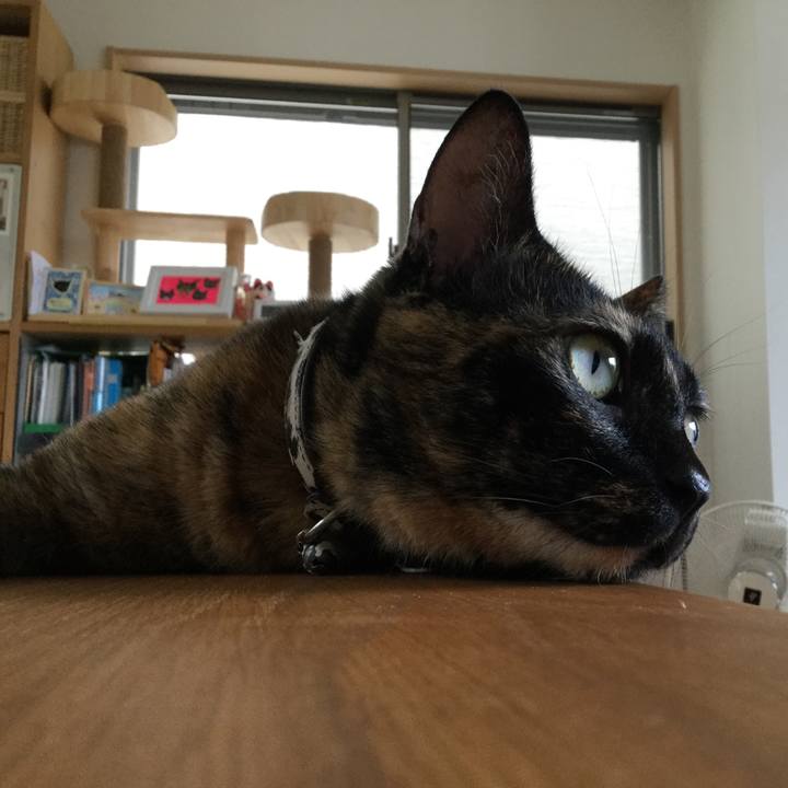 E4dced61 57b0 45e0 b9c2 6566d7fcffdf 1537059162929