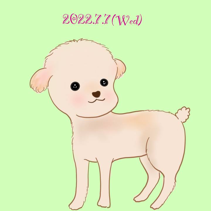 E4dd094b 3407 42e2 a4e8 8a49f6aae042 1657195167855