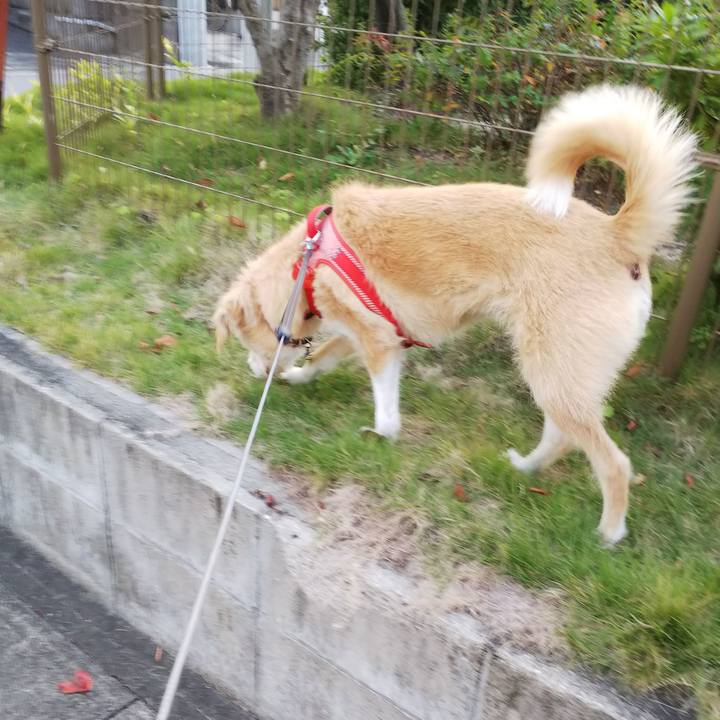 E4dd4bf6 5866 4ea6 8805 5fa57aaa550d 1540193042540