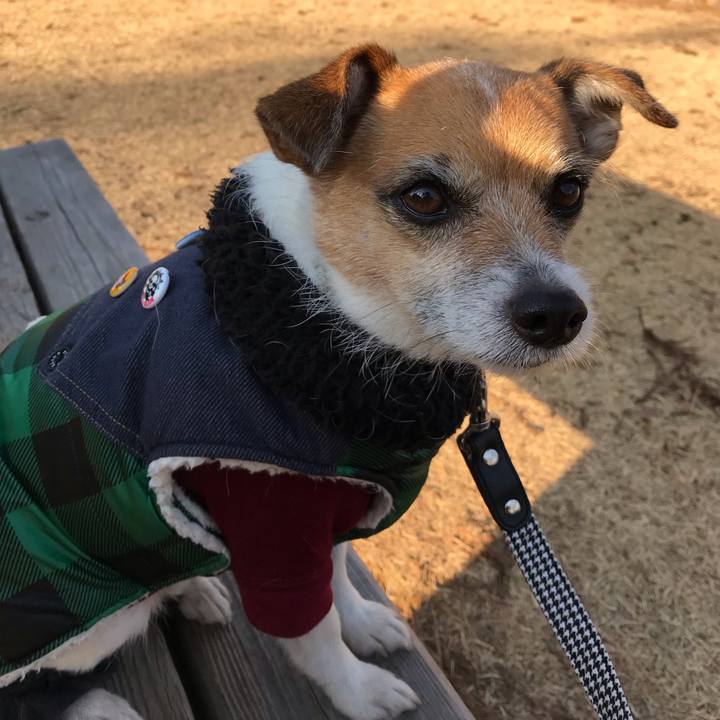 E4de0f43 98b7 4565 803f 7417fac01281 1548834849323