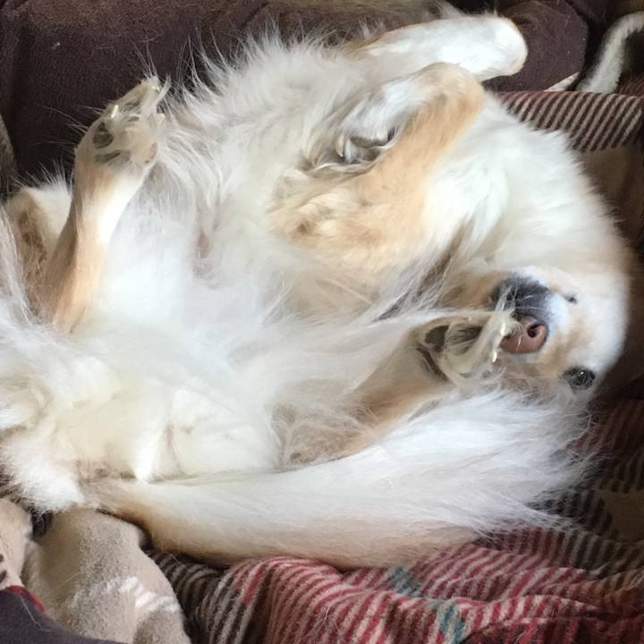 E4de20ac cc15 474a b984 9779524e390a 1552109887102