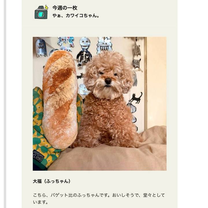 E4de2ac0 db01 4102 bce4 60c1b25f7e4f 1766585425662