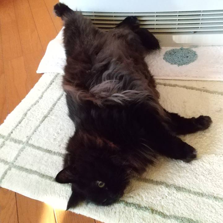 E4de3b27 1d5a 4508 8bd8 8457fab10bf4 1641769148404