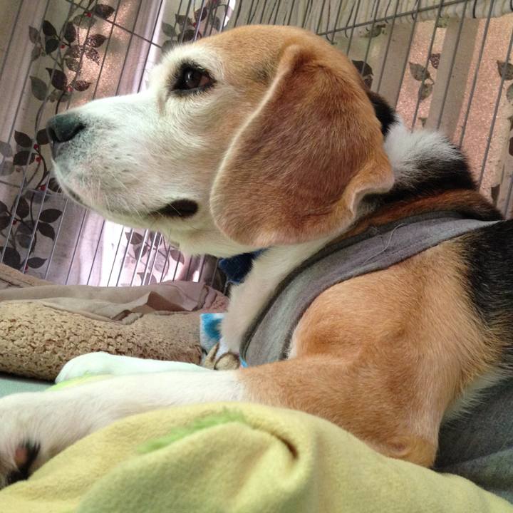 E4de49b2 a305 48dc ba4f b27841f84c6d 1727394927458