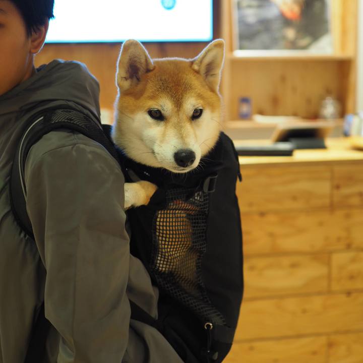 E4de773d fa5b 4fe2 ad82 4b9e34269c91 1537676235939