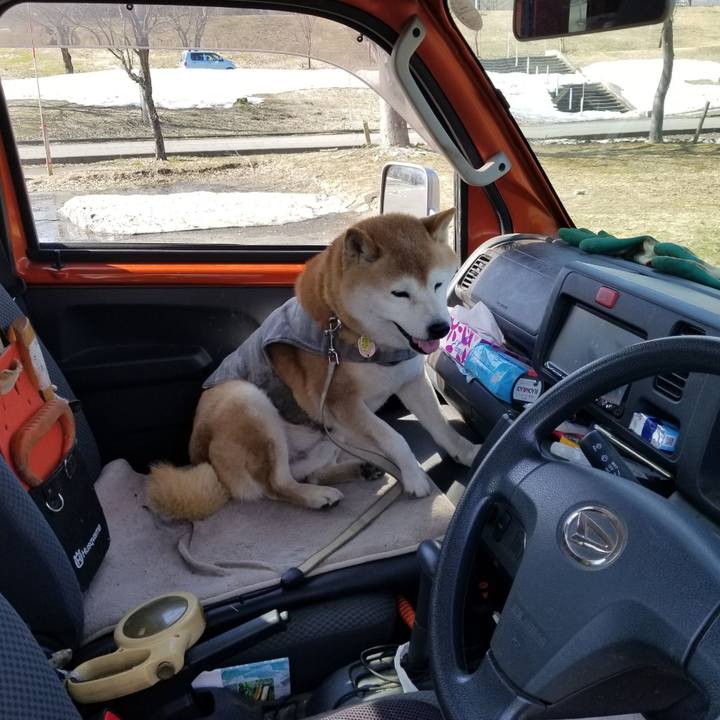 E4dec6a4 c100 4184 9a03 78f224560a5e 1679472598539