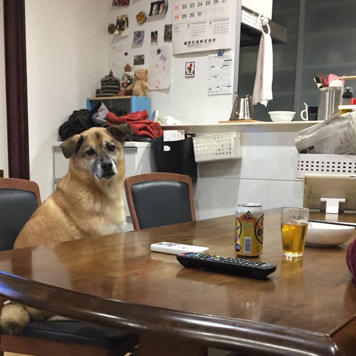 E4df208c 7388 4a9b b9e2 e61d9351a4b0 1516015142302