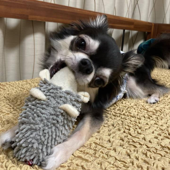 E4df6609 25d4 4ad1 b64c 189f1e36768a 1650719488145