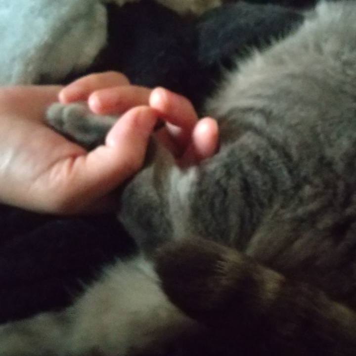 E4df9d03 c6dd 488f 9af5 912ac8bae649 1622596981391