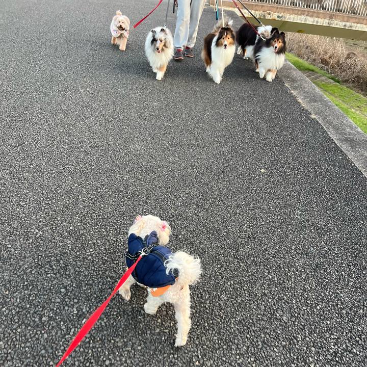 E4dfa77a 14f6 4e8f b927 fcb33258aa92 1767081900114