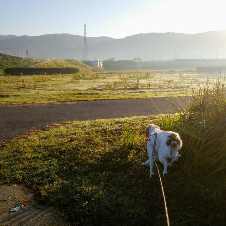 E4dfb478 0dfa 4144 9cc7 b6f75deb59ce 1540513400677