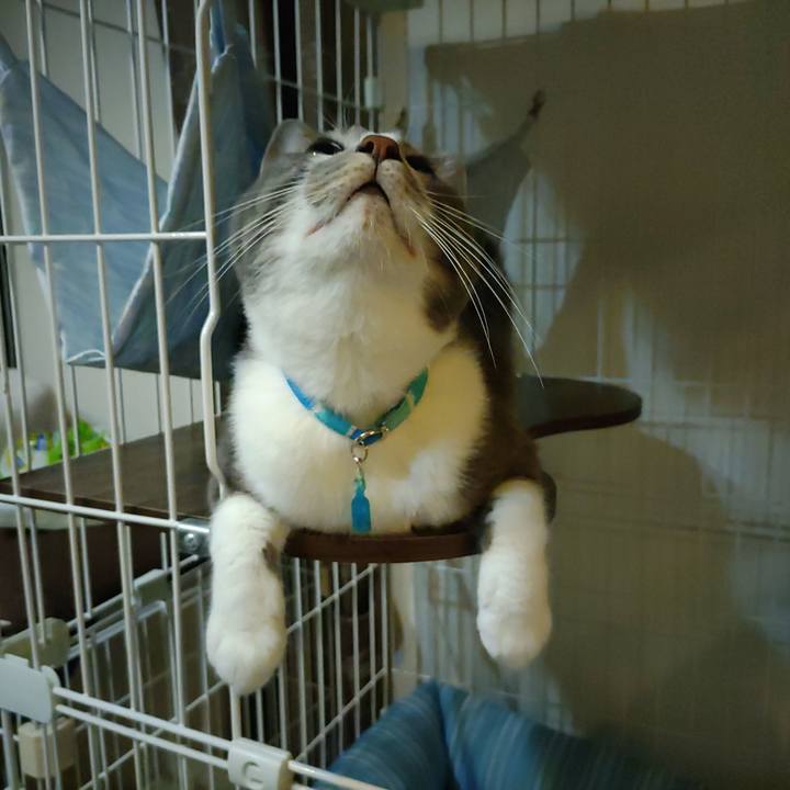 E4dfc96a 4813 41e8 9cb5 a7ae1a8ea3ca 1661515154870