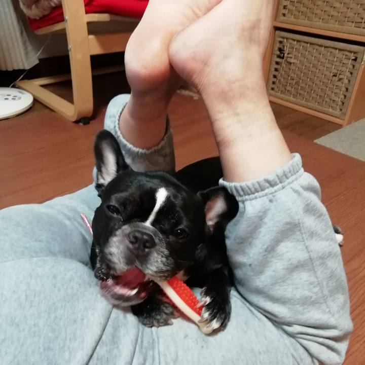 E4dff1d9 4d0e 472c 94f5 b5487a62ca9c 1539856398331