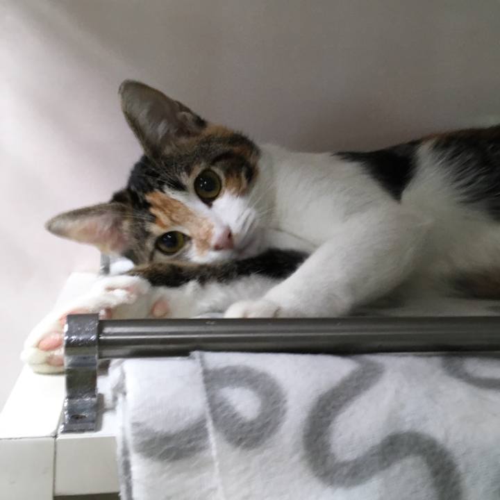 E4dff37a 9838 4cfa 8fbc a5334d5394ba 1541128149805