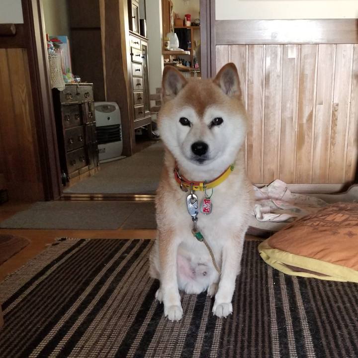 E4e01393 9a18 4dfa 99db 15225d59a29f 1688604403755