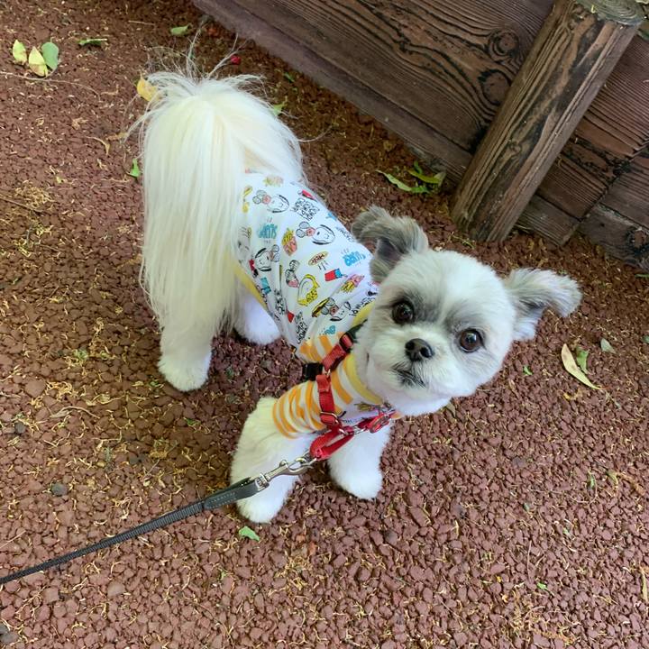 E4e07801 d23c 473c a639 c0718c43006d 1619184609651