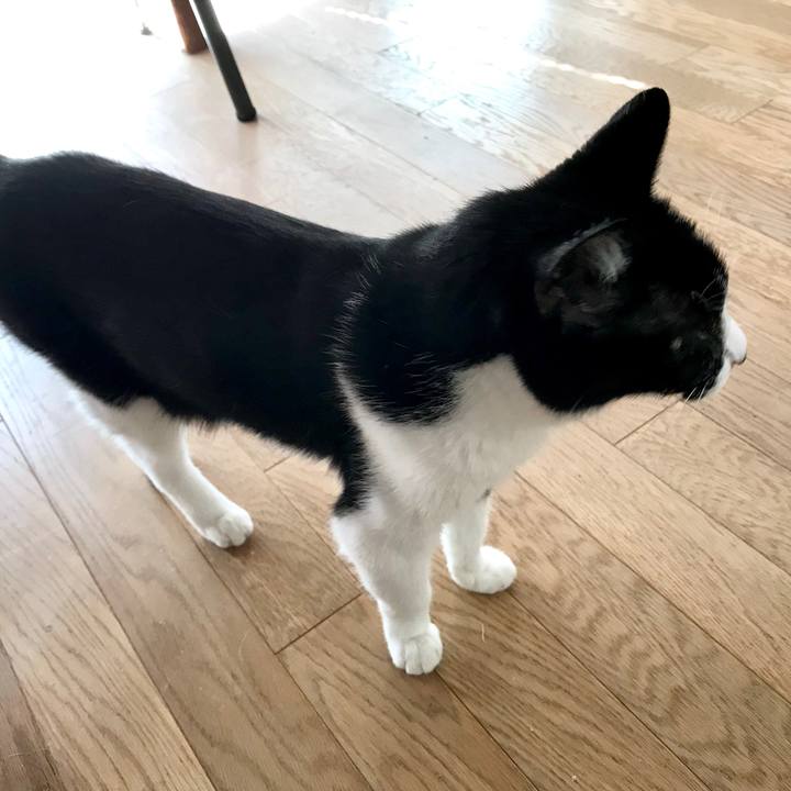 E4e09704 f545 41f6 bc7d c5c562619754 1540615181540