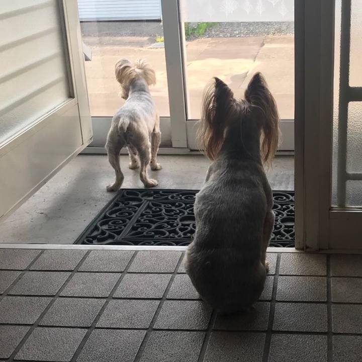 E4e0b396 ebc3 4b11 b345 45db4e1eef71 1558663511817