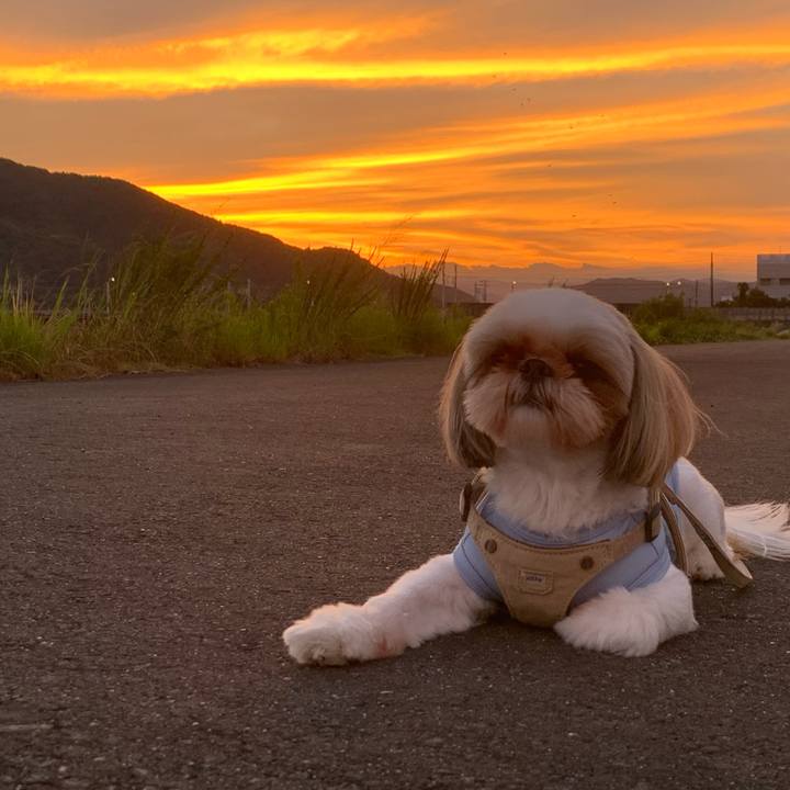 E4e11000 1067 4921 8f4b 2ee521def40b 1628159236715