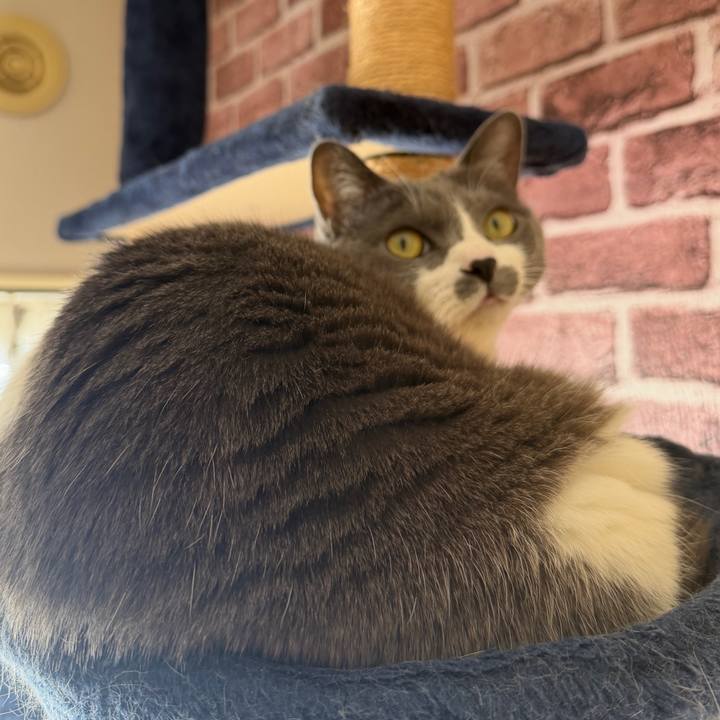 E4e1249c 4d5f 4ff8 a51b 88ced7ce2970 1767756597401