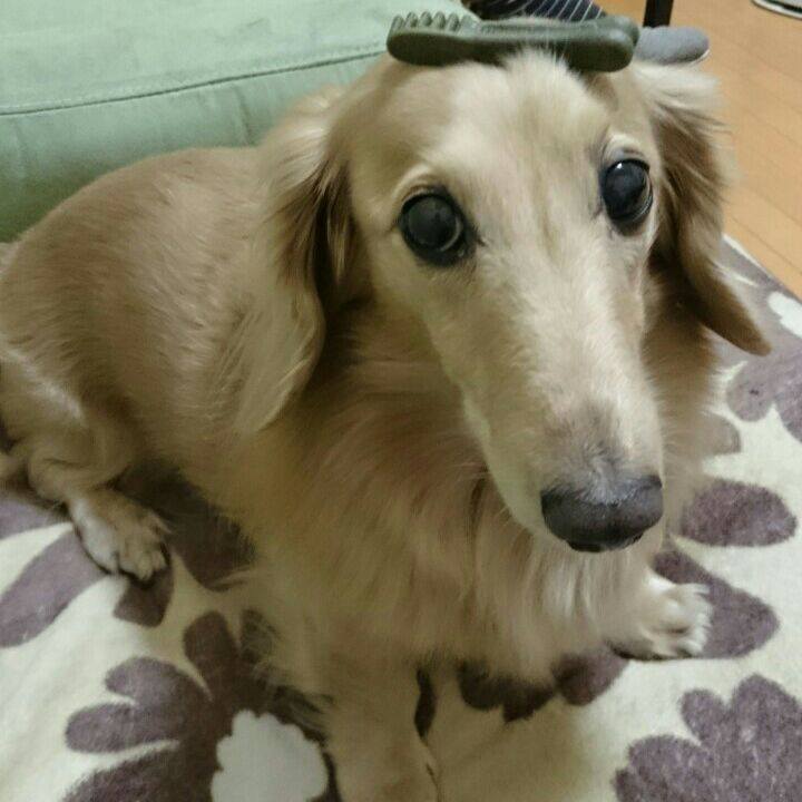 E4e1487d 62e8 4da6 aba0 80bbf23f8486 1563292786584