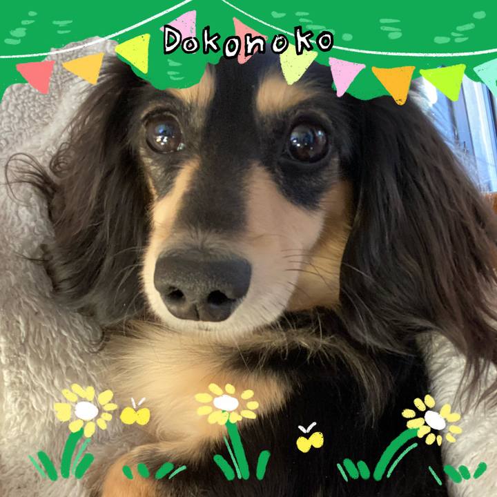 E4e15167 e9d7 42bc 970d db3e1a41f10b 1711002620985