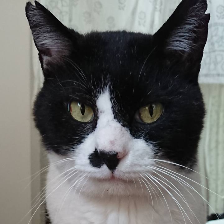 E4e16efe e5f4 4765 9c76 06af8b6cc185 1529898798938