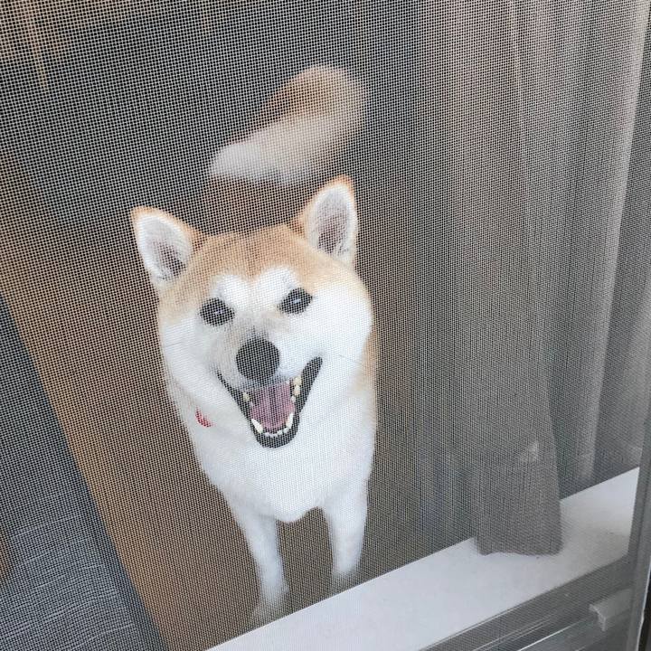 E4e192d9 ffe0 4603 a62b 03800cfa73d1 1593403429339