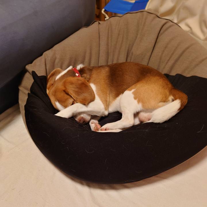 E4e1dddd 671a 4c09 bf03 d4fc74c2b5a2 1665149158439