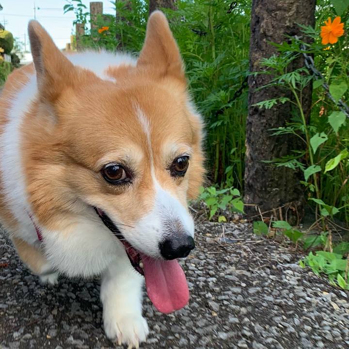 E4e20572 b3f8 453d b2d9 597749358149 1723418678918