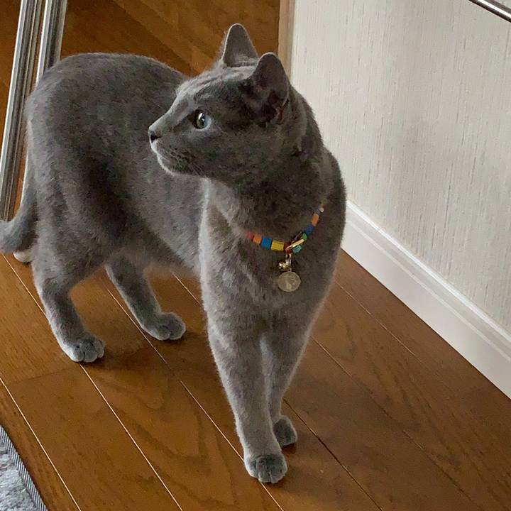 E4e223f0 55f7 44e6 9db8 950fc4761687 1624328509455