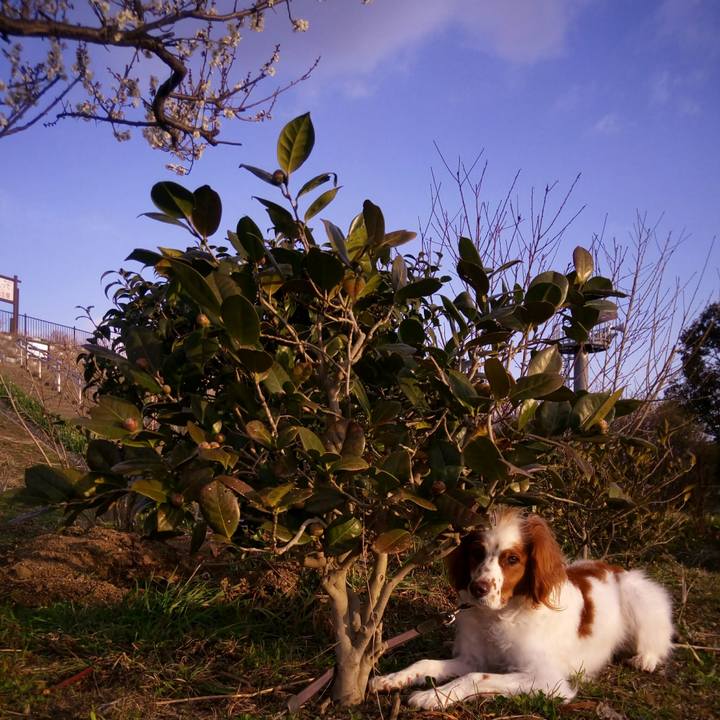 E4e27068 0ec1 460e b987 8f88cbaedb1a 1519965527041