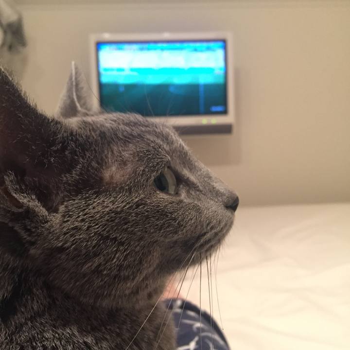 E4e28f3b 6731 4c02 bec2 a4fe42d22c00 1529413911996