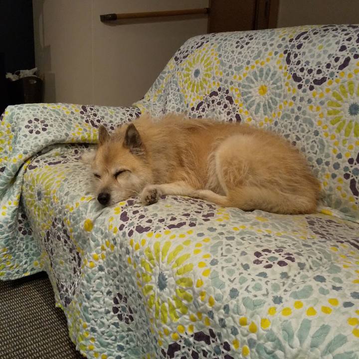 E4e2b96d d542 442d 9ec3 ba3d50780e29 1548588087892