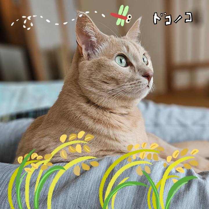 E4e2f3b3 3b46 48e1 befe d96cdf12abd5 1762667984060