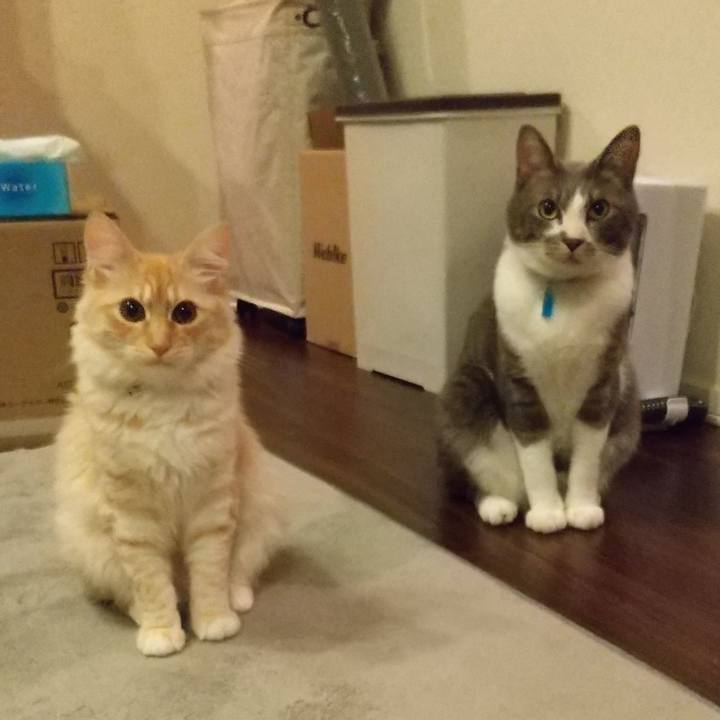 E4e31dda d9c5 4935 83ef 27668d25ca07 1616936750634