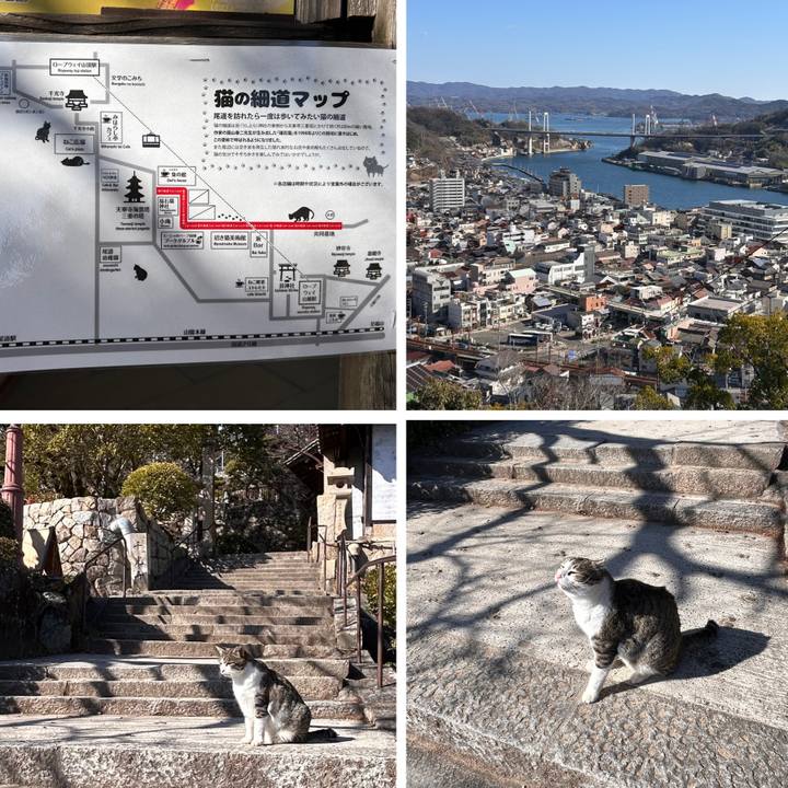 E4e31e97 7cbf 42e2 9794 f5fd2741010f 1768366754596