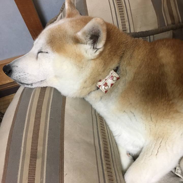 E4e31fbe 8ae5 4672 80a9 7c23dd6817e2 1525524364975