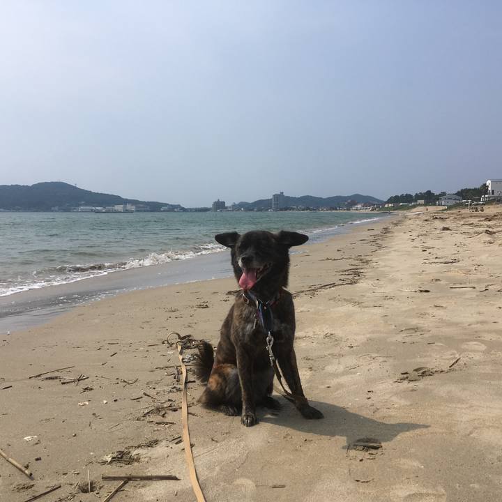 E4e32501 ed1b 4a7f 9cd2 31a318f1b7b7 1533012133268