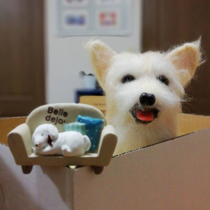 E4e34dc0 ea43 4b76 bff2 ac85a63055fd 1576915356669