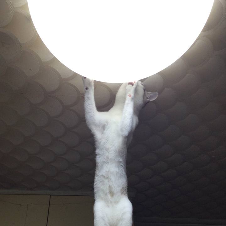 E4e37c82 74a0 4e3a 9956 7011f0dc31af 1615556339475