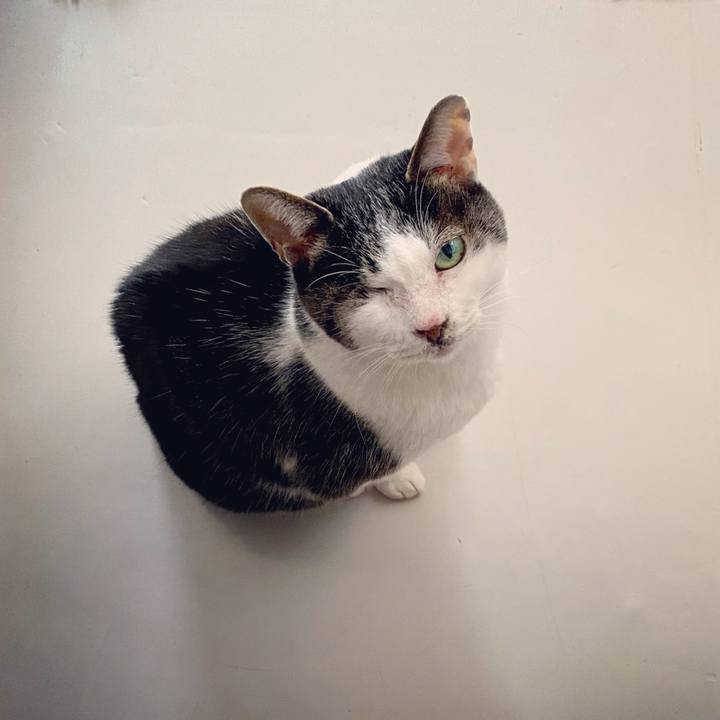 E4e389d8 f031 4f88 bf6d e51c2e0511e0 1614500213878