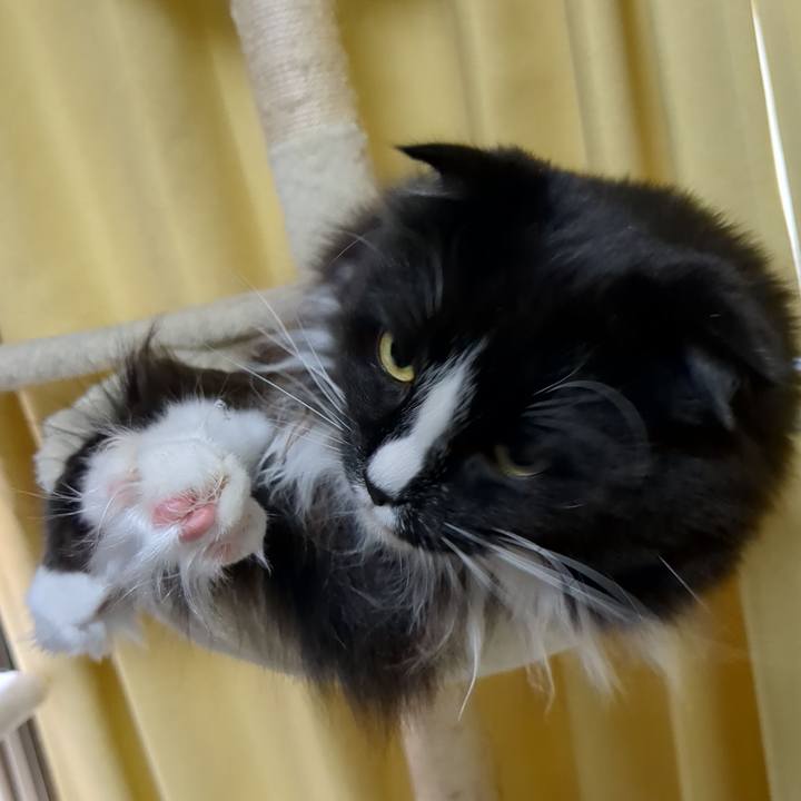 E4e38eed 6d75 4ac6 84e0 bf156d44943c 1680915423048