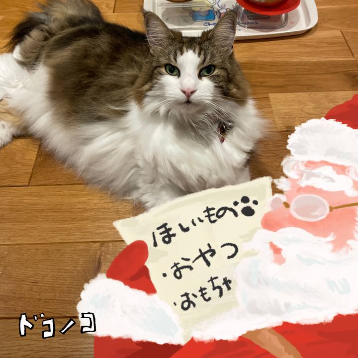 E4e392f7 acc4 47b2 b289 d4d394fcbd2a 1729332395143