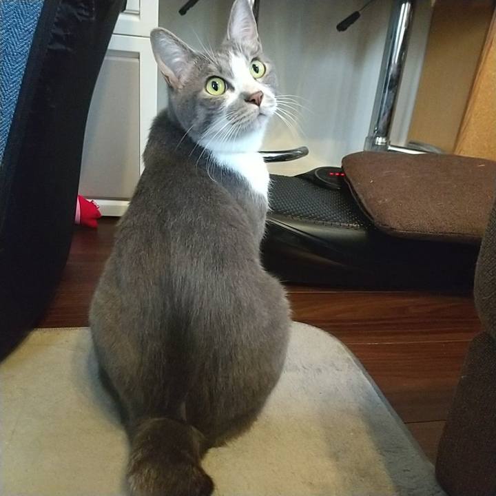 E4e3c67a c1cf 4d93 913f d57cd15da580 1622081870986