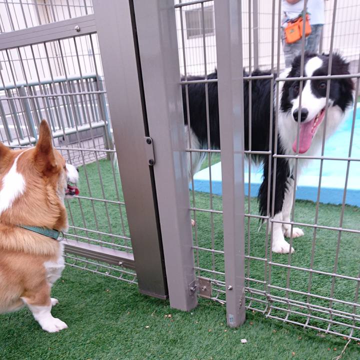 E4e40353 8bce 4f46 a154 079c391eb109 1592806545642