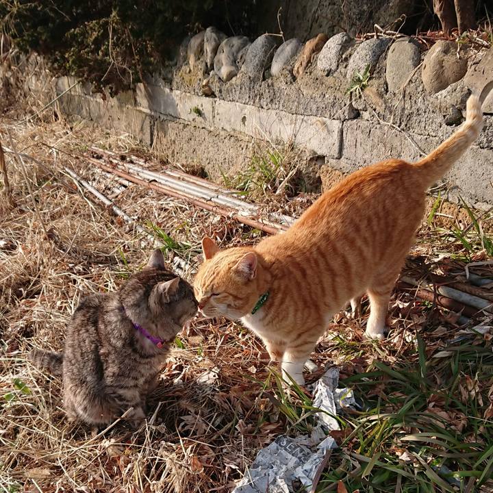 E4e44292 2bb9 4127 9a8b c496d4b18636 1581749726888